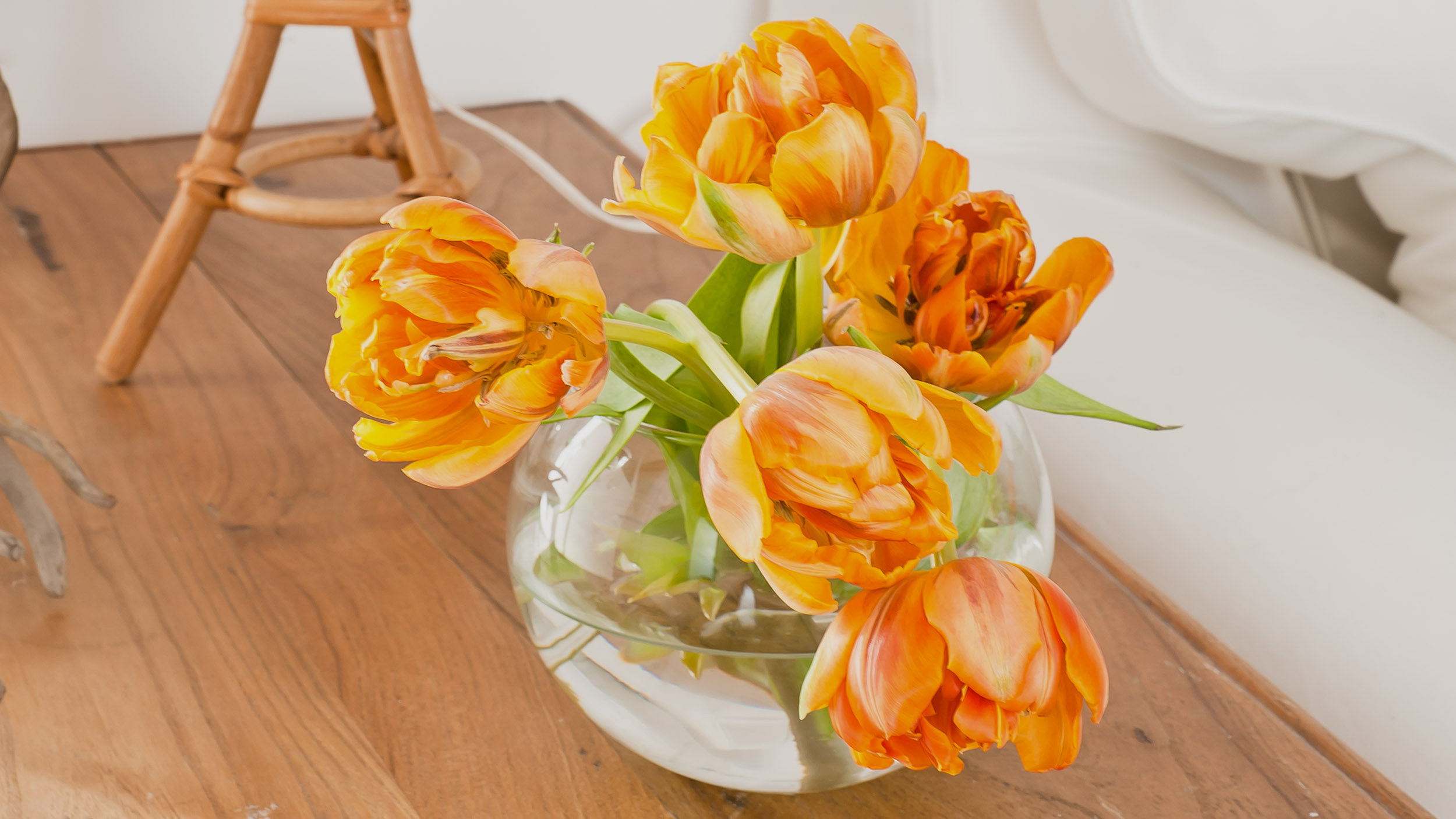 Baixa House - Baixa House Apartments Lisbon