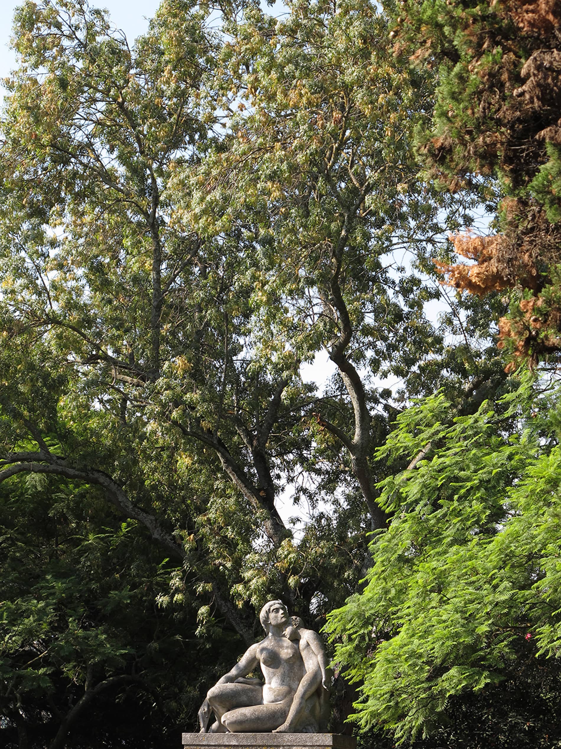 Fernando Maquieira - jardim-eduardo_vii-lisboa-2