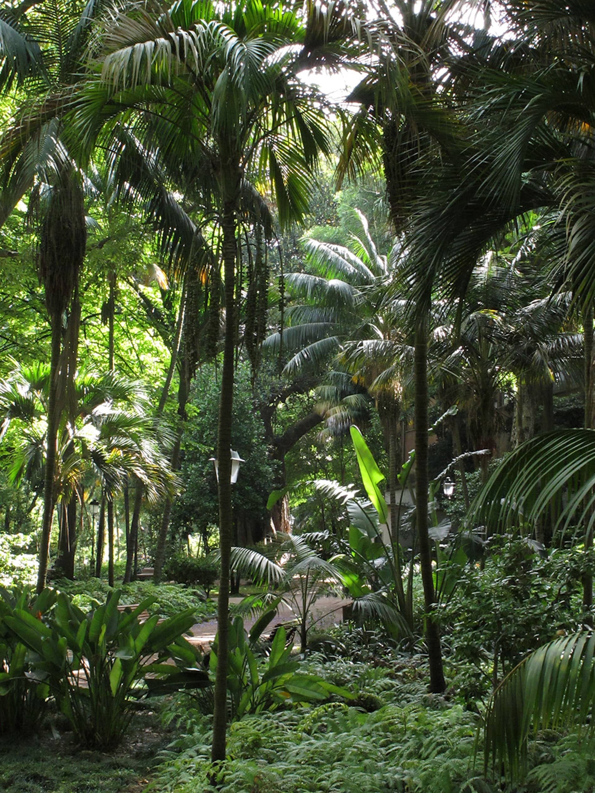 Fernando Maquieira - jardim-estrela-lisboa-2