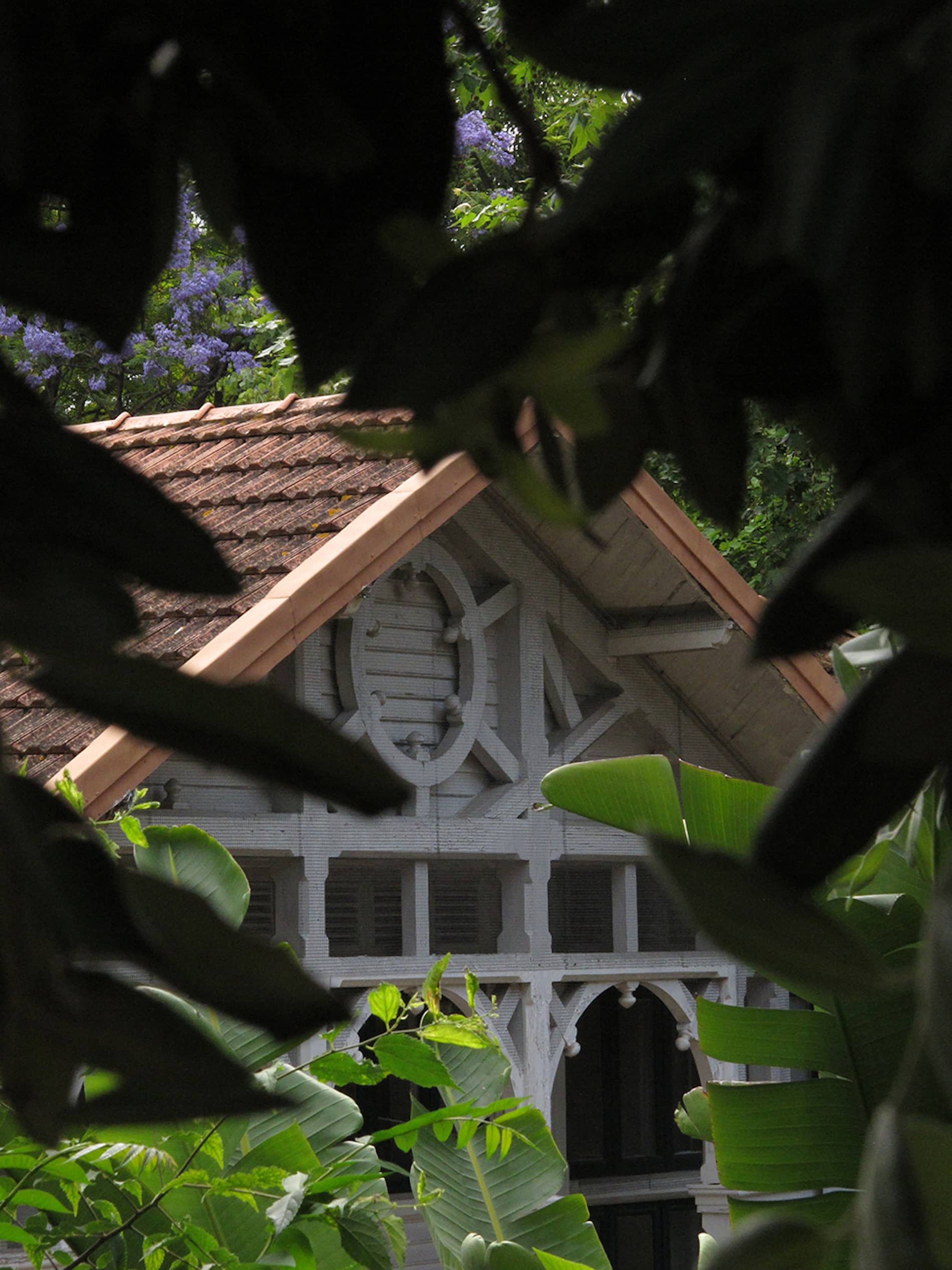 Fernando Maquieira - jardim-estrela-lisboa-3