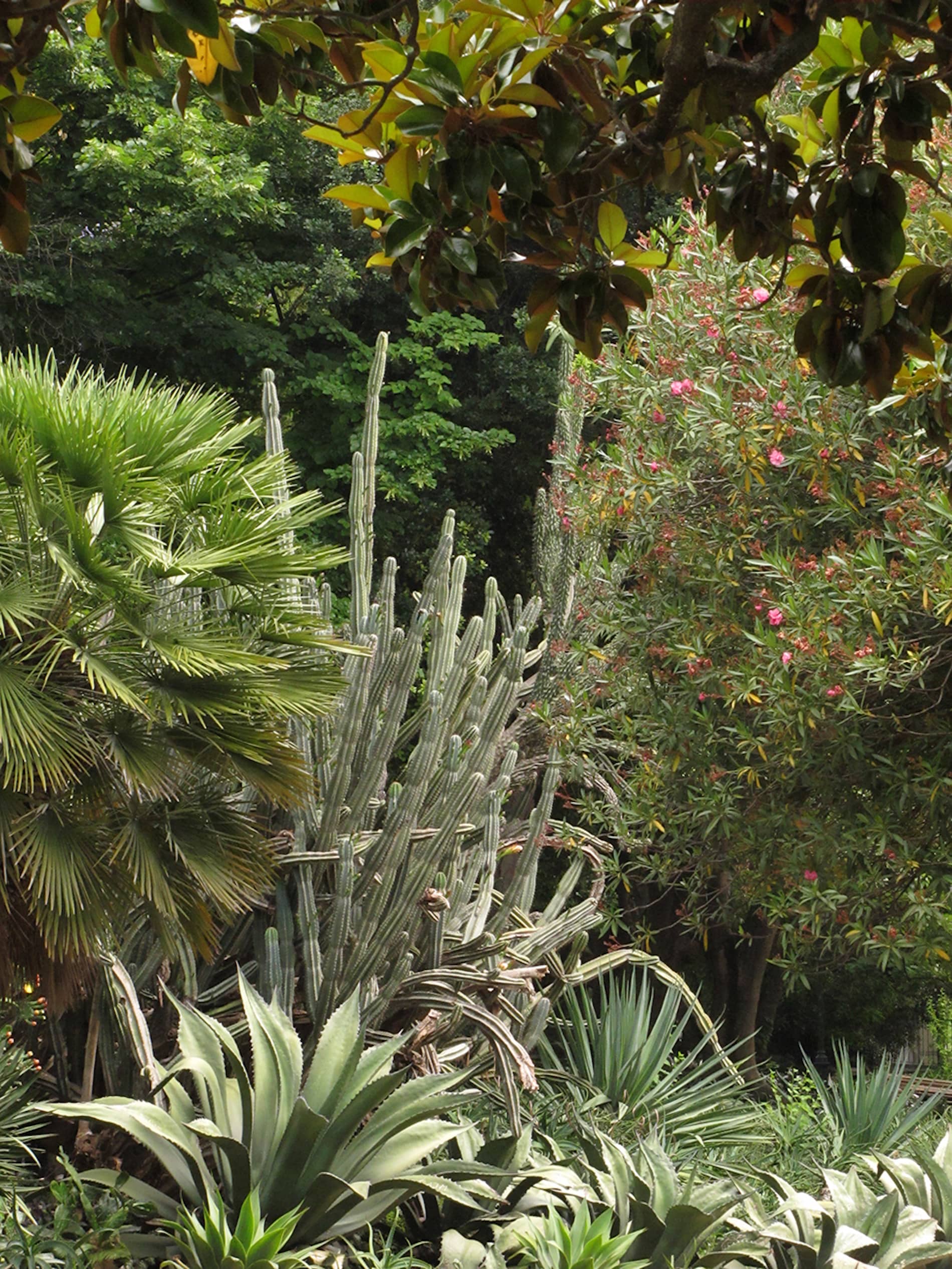 Fernando Maquieira - jardim-estrela-lisboa-9