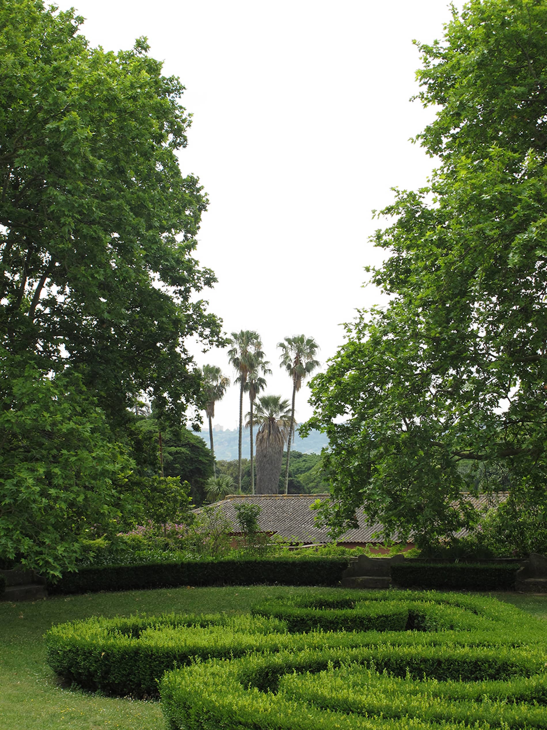 Fernando Maquieira - jardim-ultramar-lisboa-10