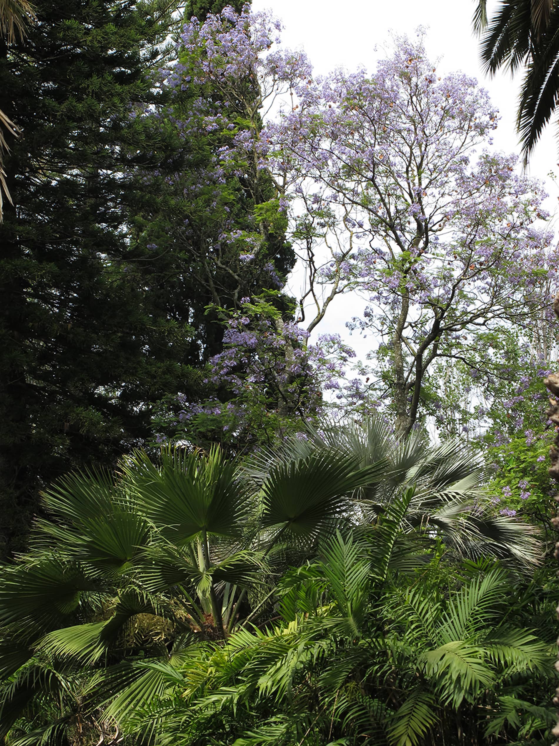 Fernando Maquieira - jardim-ultramar-lisboa-2