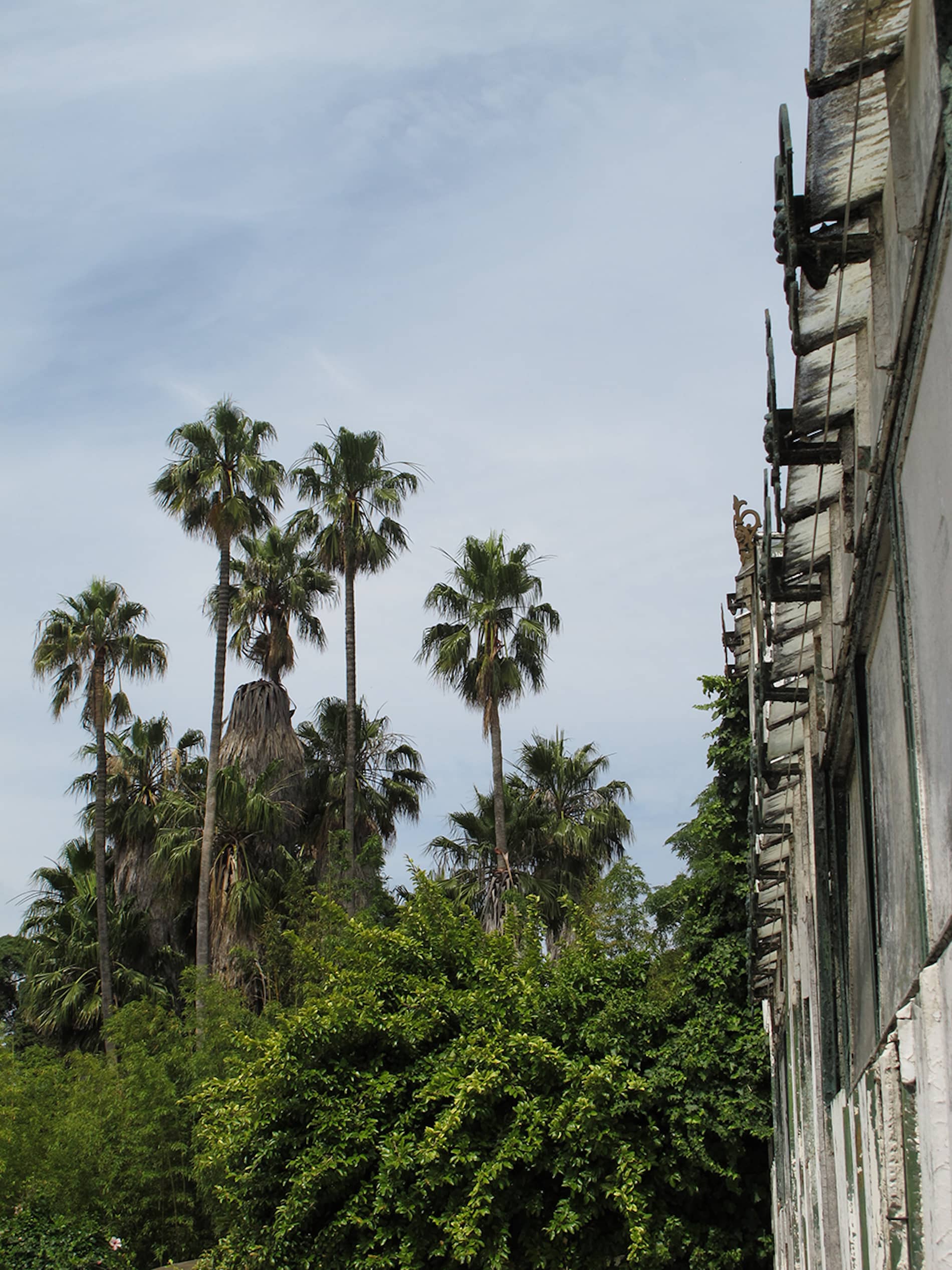 Fernando Maquieira - jardim-ultramar-lisboa-4